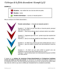 exercice de thérapie cognitive et comportementale pdf